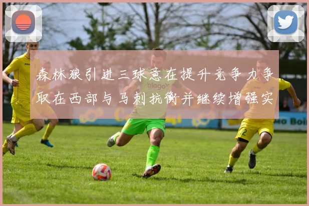 森林狼引进三球意在提升竞争力争取在西部与马刺抗衡并继续增强实力